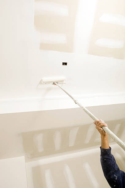 Trusted Canby, MN Dry wall and painting Experts